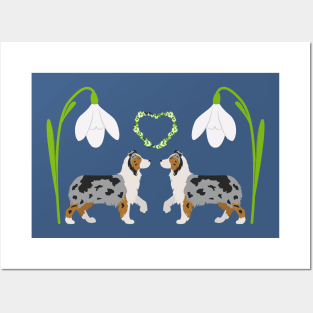 Blue Merle Australian Shepherd Dog with Spring Heart and Narcissus White Flower Posters and Art